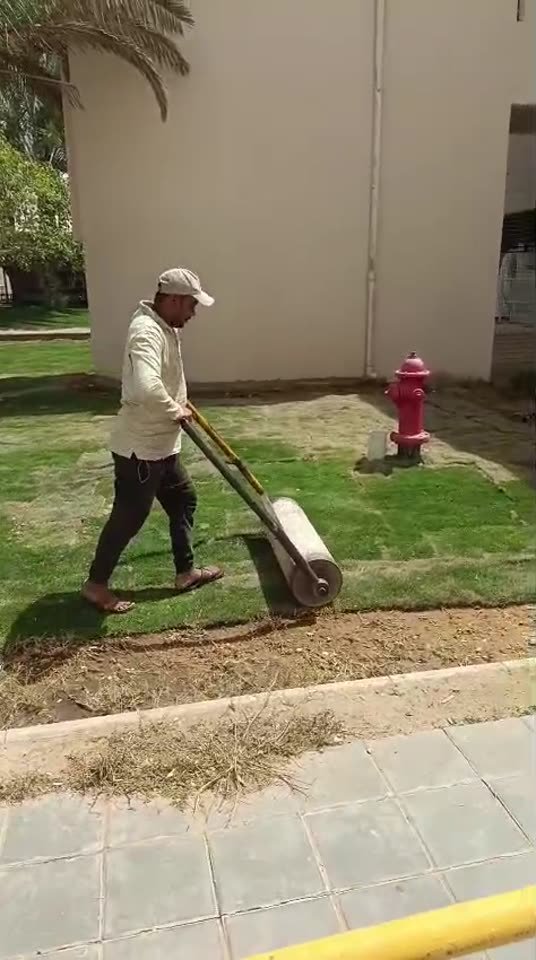 فرش وتسوية النجيلة